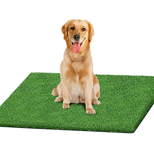 Professional Artificial Dog Potty Grass | Artificial Turf w/ Drainage Hole