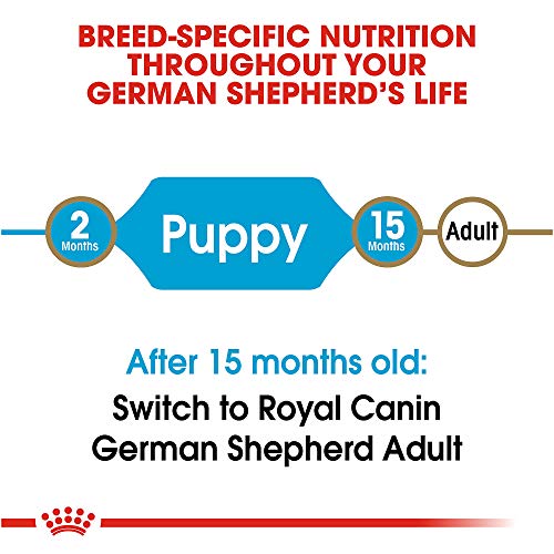 Buy Royal Canin German Shepherd Dog Food – 30 Pound Bag