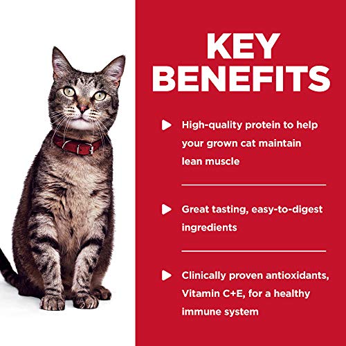 +Science Diet Wet Cat Food | High-Quality Protein | Hill's Pet Nutrition