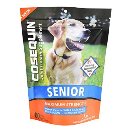 Cosequin for Senior Dogs: #1 Retail Joint Supplement