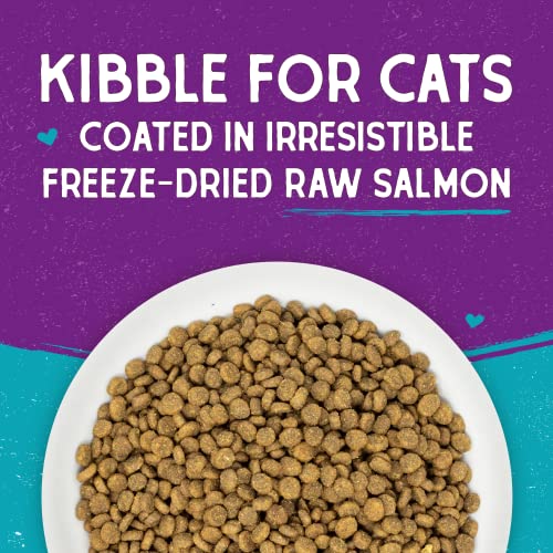 Irresistible Protein-Packed Kibble for Cats | Wild-Caught Salmon #1 Ingredient