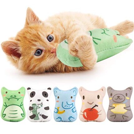 Cat Chew Toys Set - Oh!Your Cat Will Go Crazy About This | Keep Teeth Cleaning