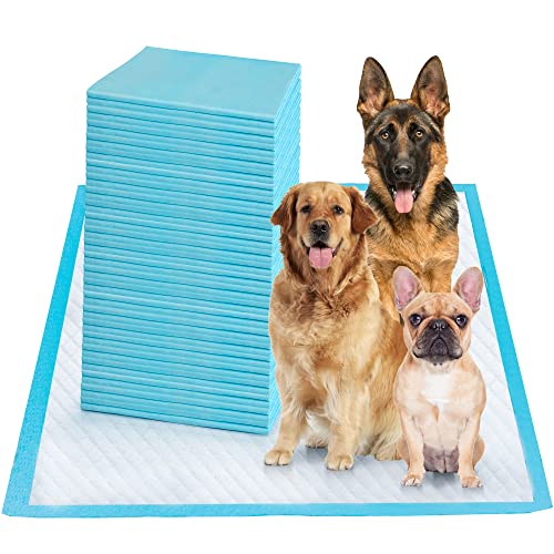 Doggy Pads | Ultra Absorbent Polymer & Durable 6 Layers Protection