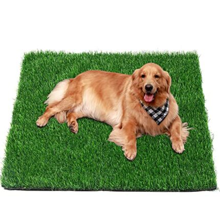 Artificial Grass – Soft and Comfortable, Perfect for Pet Training and Easy to Clean