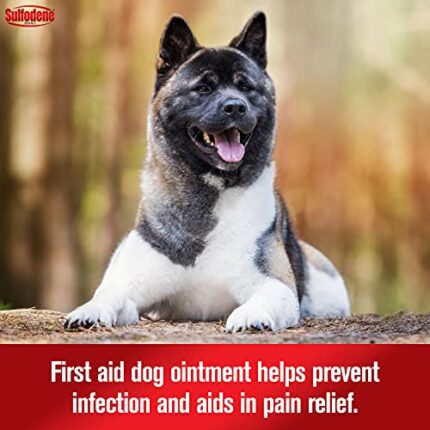 Best Dog Ointment & Wound Care for Pain Relief