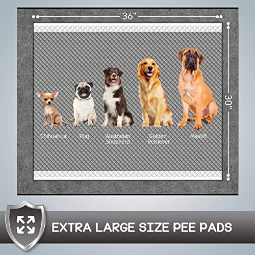 Activated Carbon Pads for Dogs | Eliminate Pet Urine Smells | Dog Training Pads