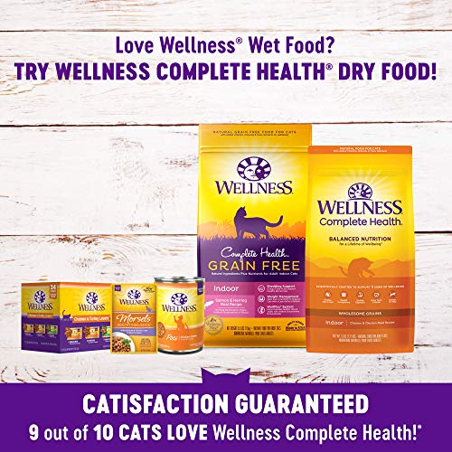 Grain-Free Wet Cat Food Variety Pack | Healthful Hydration for Adult Cats