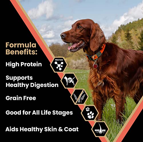 Victor Super Premium Dog Food – Dry Food For Your Dog's Health