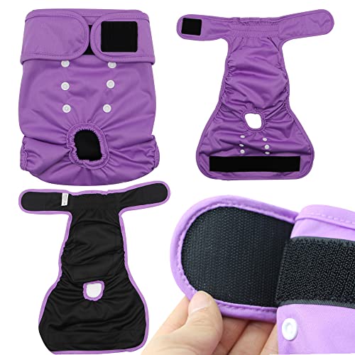 Adjustable Dog Diapers for Female Dogs | XS, S, M, L Sizes