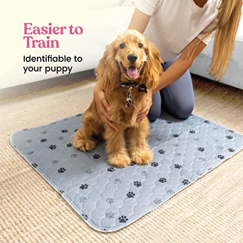 All-Day Protection Pad for Your Floors, Couches, & Dog Beds