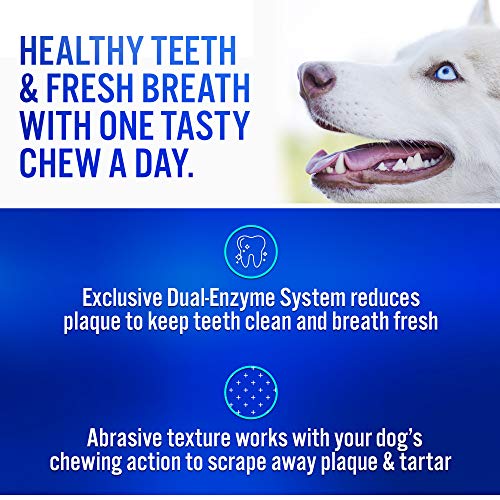 Large Dogs Dental Chews: All-Beef Rawhide Chews with Dual Enzyme System