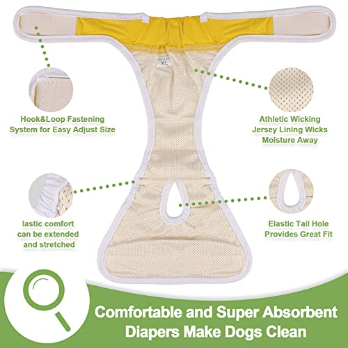 Female Dog Diapers: Washable Dog Diapers for Tiny Dogs & Puppies, 11" to 14" Waist Size