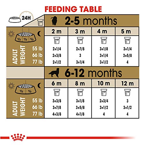 Royal Canin Nutrition for Retriever Dog Food | 30-Pound Bag