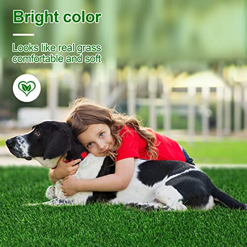 Artificial Grass – Soft and Comfortable, Perfect for Pet Training and Easy to Clean