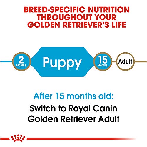 Royal Canin Nutrition for Retriever Dog Food | 30-Pound Bag