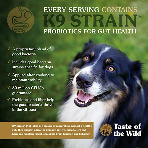 Taste Wild Protein Southwest Canyon Dog Food - Shop Now!