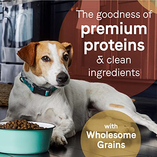 Canidae Wholesome Grains Limited Ingredient Dog Food - All Natural & Balanced