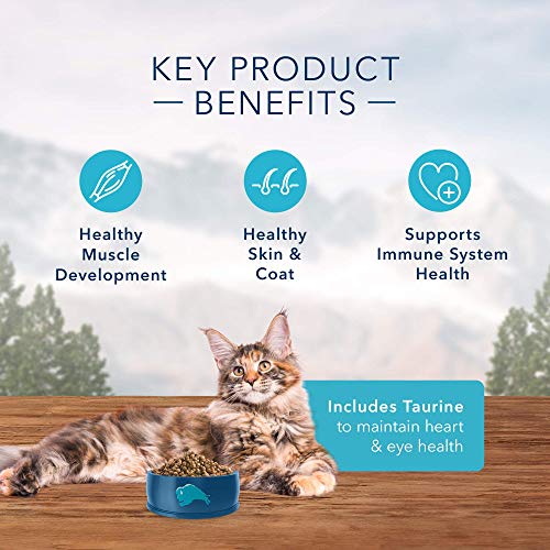 BLUE Wilderness High Protein, Natural Adult Dry Cat Food