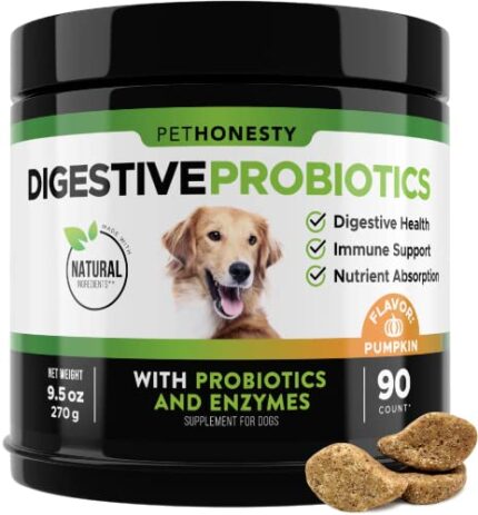 Probiotic Soft Chews for Dogs: 6 Billion CFUs, Natural Ingredients & More!