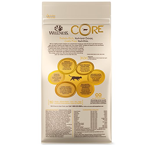 Premium Cat Food with Quality Protein & Nutrition | Wellness CORE