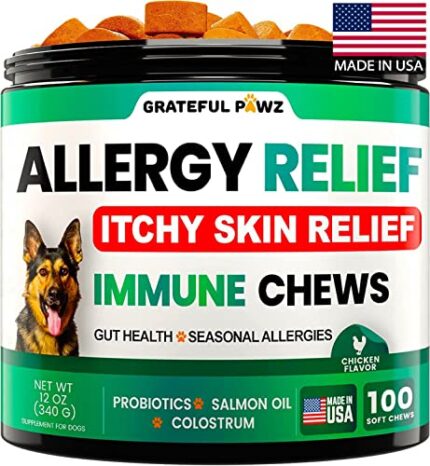 Vet Recommended Dog Allergy Chews for Itchy Skin Relief - Grateful Pawz