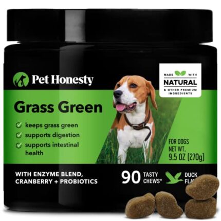 Keep Your Lawn Green and Healthy | Reduce Grass Burn with GrassGreen Soft Chews