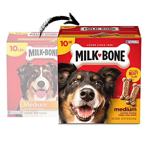 10 Pound Box of Medium Dog Biscuits with Meaty Taste and 12 Vitamins & Minerals