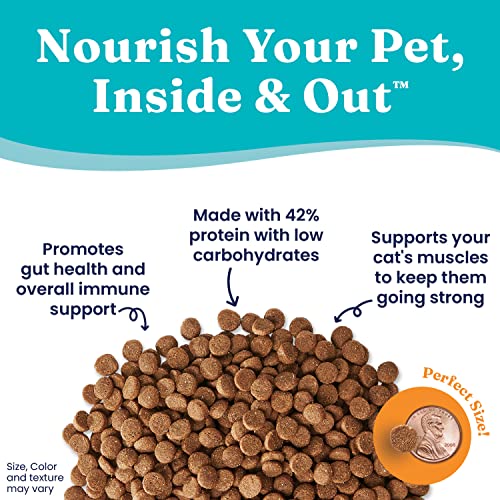 Natural Cat Food Kibble For Gut, Immune & Coat Health | Meow at the Moon