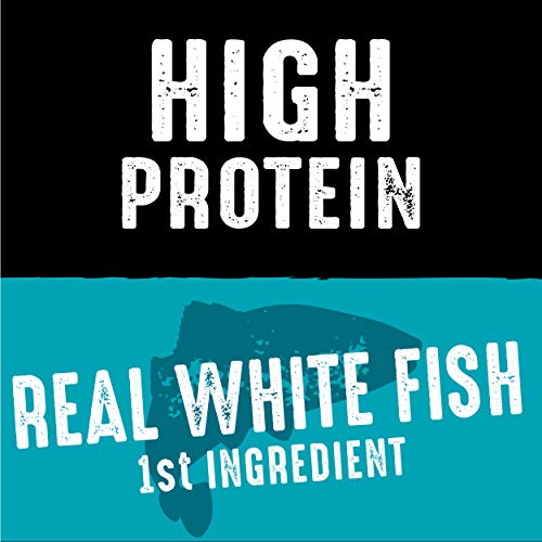 Buy Crave Grain Protein Salmon from the Ocean | Fast Shipping