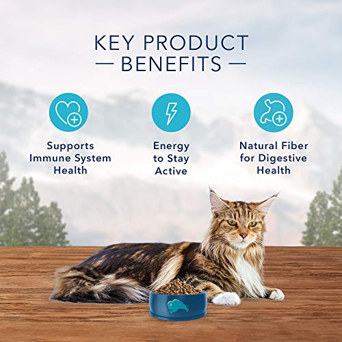 BLUE Wilderness High Protein Cat Food for Senior Cats | Natural, Grain-Free