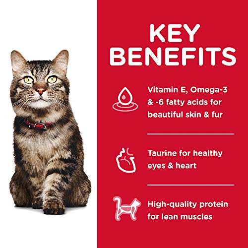 Dry Kibble Food for Senior Cats with Natural Fiber, Taurine, & Omega-3s & -6s