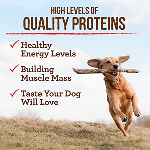 Merrick Grain-Free Puppy Recipe Dry Dog Food | Merrick