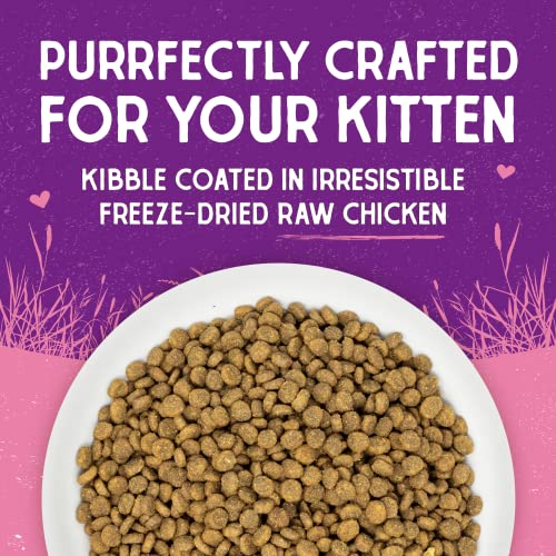 Kitten Nutrition Made Easy with Irresistible Cage-Free Chicken | Stella & Chewy