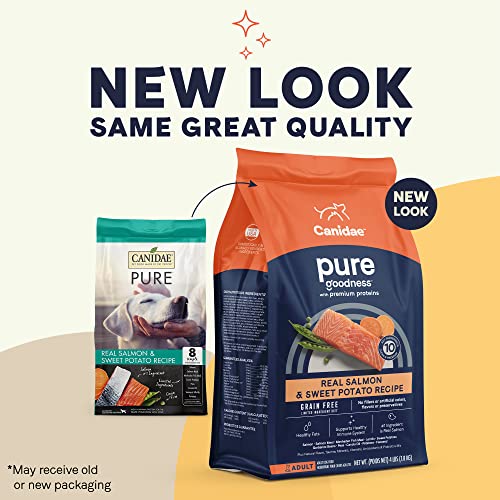 Buy Canidae Grain Free Dog Food with Salmon Formula