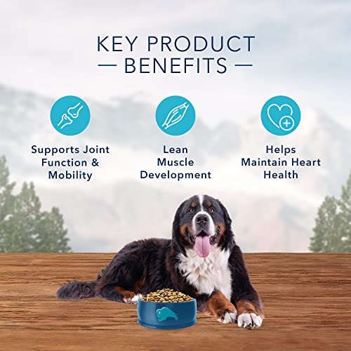 Blue Buffalo Wilderness: Natural, Protein-Rich Dog Food