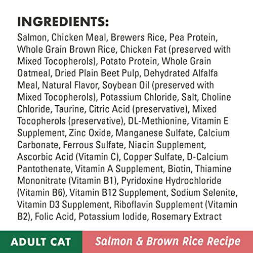 NUTRO WHOLESOME ESSENTIALS Adult Salmon & Brown Rice Recipe Natural Cat Food