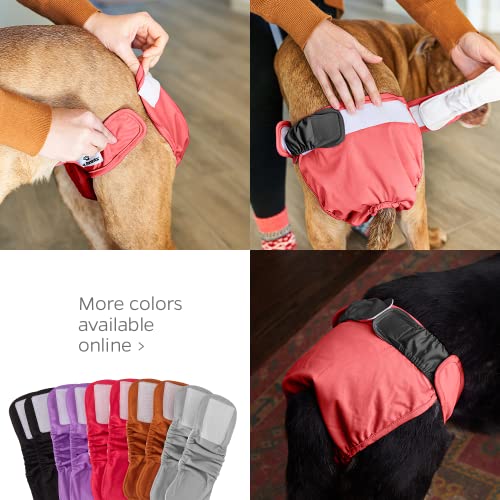 Medium Dog Diapers in 3 Colors - Washable, Absorbent & Comfortable