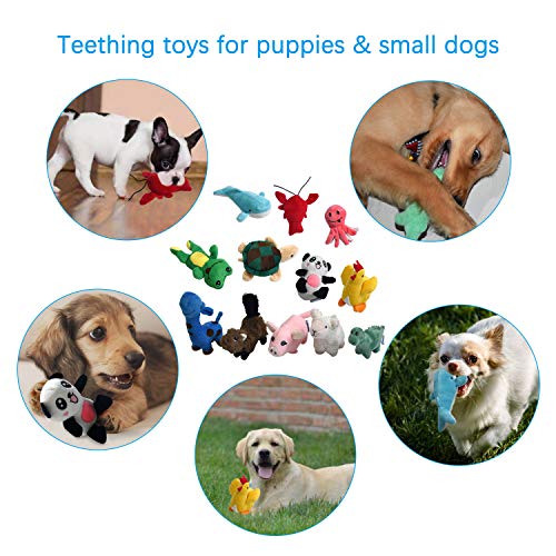 12 Pack Dog Toy Squeakers for Small Dogs | High Value Puppy Chew Toys