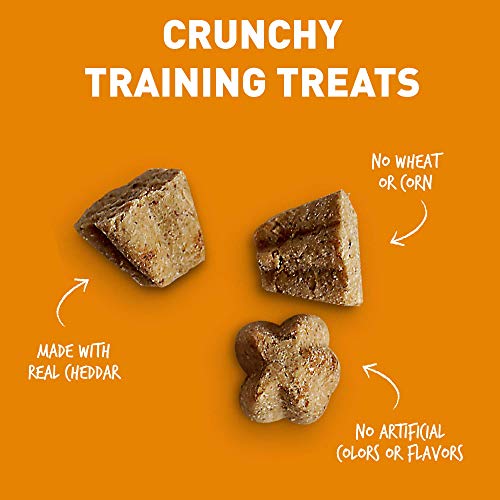 Cheddar Training Treats for Dogs | Cloud Star Tricky Trainers Crunchy