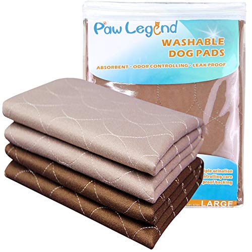 Paw Legend Training Pads - Super Absorbent & Odor Control - Pack of 2