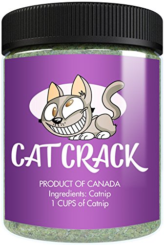 00% Natural Cat Treats | Super Delicious Playtime for Your Furry Friend!