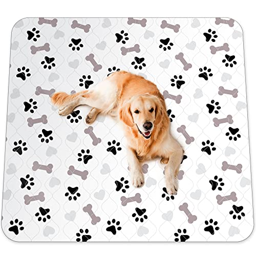 Multi-Functional Pet Pads: Potty Training, Housebreaking, Protection