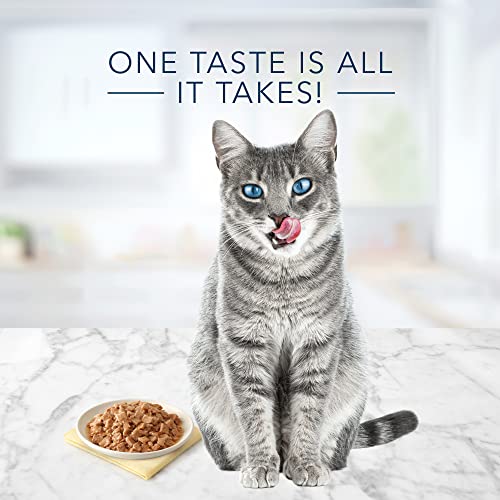 'Delicious Fish First: Tastefuls Natural Flaked Wet Cat Food for Finicky Feline'