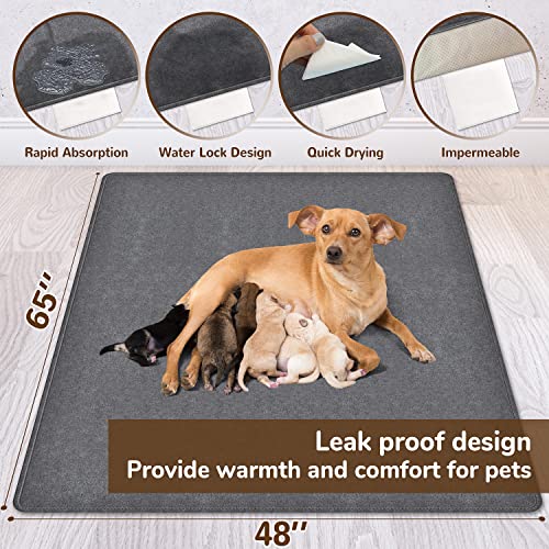 65"x 48" Reusable Polar Fleece Pet Training Pads - Washable & Super Absorbent