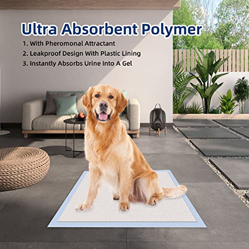 Quick-Drying Surface & Super-Absorbent Core Puppy Pads for Training & Assisting Dogs