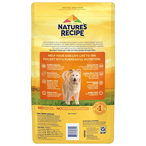 Nature's Recipe Adult Dog Food - Chicken Meal Formula |