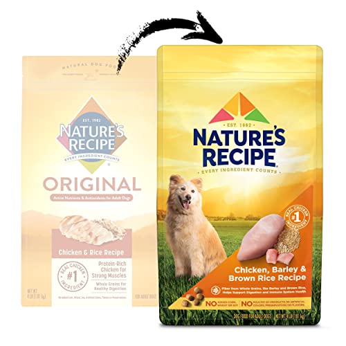 Nature's Recipe Adult Dog Food - Chicken Meal Formula |