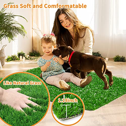 2-Pack Puppy Potty Trainer Tray w/ Rapid Flow Drainage & Low Maintenance