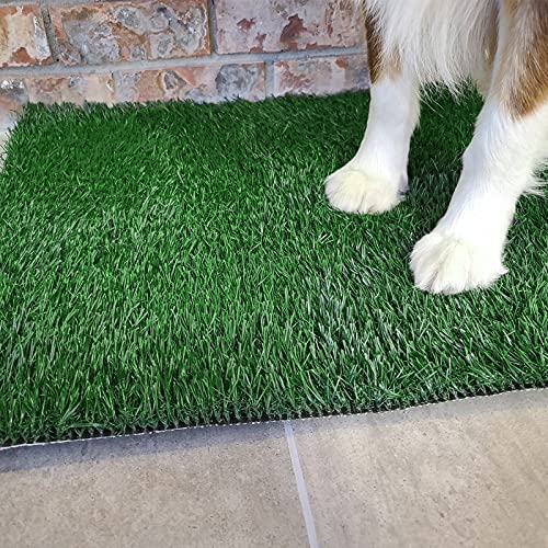 Quadruple-Layered System Artificial Grass Pee Pad | Low Maintenance | Training Furry Friends