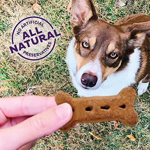 Large Crunchy Dog Treats with Natural Flavors | Peanut Butter, Apples, Carrots & Molasses